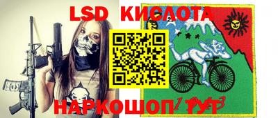 ПСИЛОЦИБИНОВЫЕ ГРИБЫ Можга