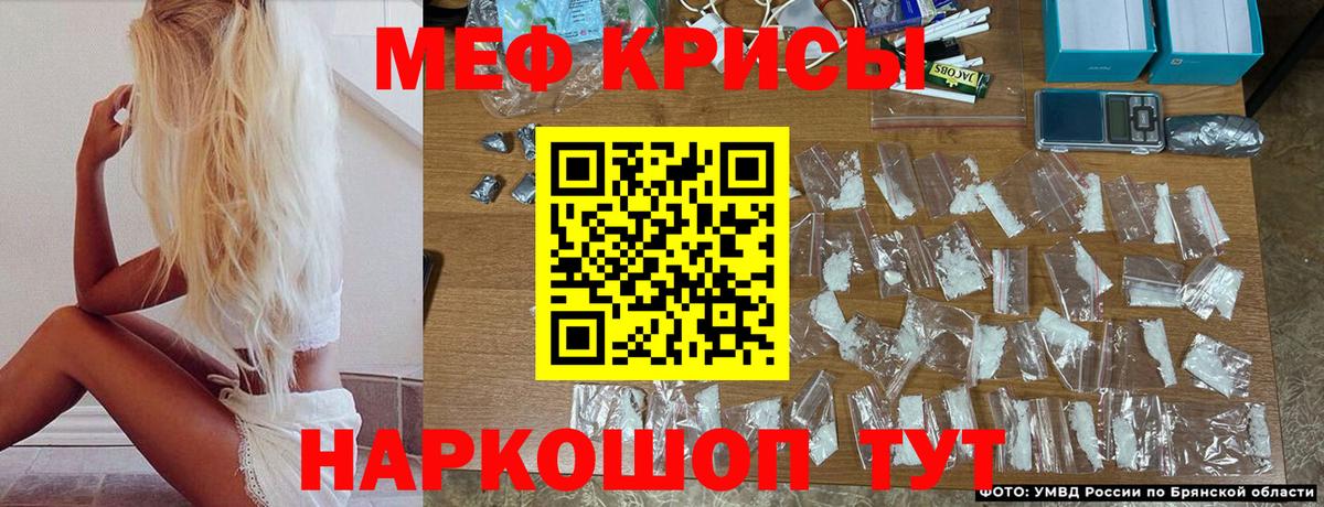 МЯУ-МЯУ мяу мяу  Вход с VPN  МЕФ  МЕФ VHQ  Калининград 