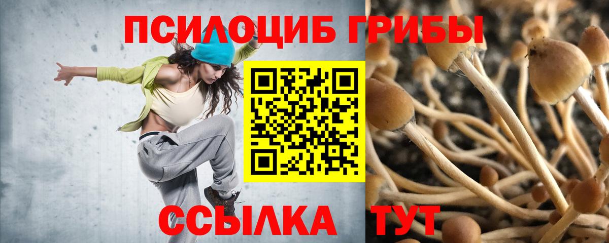 Псилоцибиновые грибы мицелий Калининград