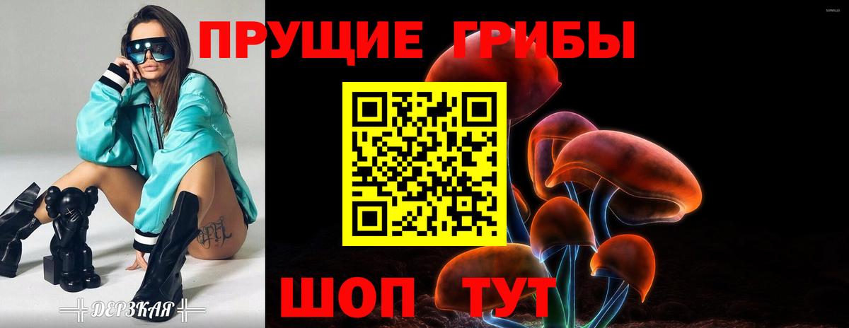 Псилоцибиновые грибы Psilocybine cubensis  Вход с VPN  Псилоцибиновые грибы мицелий  Калининград 